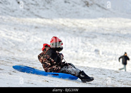 Boy Sledding Down Hill in Cherokee Park in Louisville, Kentucky Stock Photo