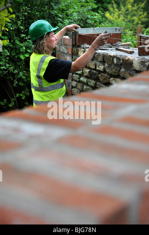 Using a spirit level during the building of a garden wall with cotswold stone and cement mortar UK Stock Photo