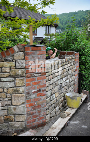 Building a garden wall with cotswold stone and cement mortar with reclaimed red brick pillars and coping UK Stock Photo