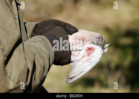 Hunter Holding Dead Eared Dove at La Dormida Lodge in Cordoba, Argentina Stock Photo