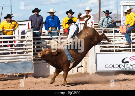 a cowboy competes in the bull riding event during the O'Odham Tash all-indian rodeo Stock Photo