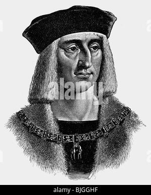Maximilian I, 22.3.1459 - 12.1.1519, Holy Roman Empire 4.2.1508 - 12.1.1519, portrait, wood engraving, 19th century, , Stock Photo