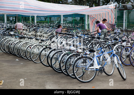 Bicycles for sale at start of semester on campus of Fudan University, Shanghai, China Stock Photo