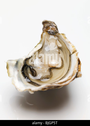 Half an oyster with pearl - Stock Photo