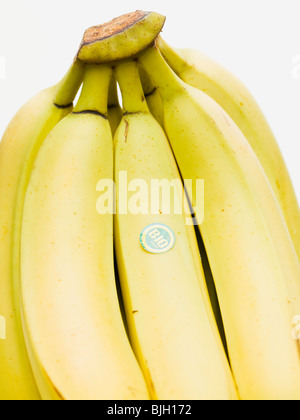 Organic bananas - Stock Photo