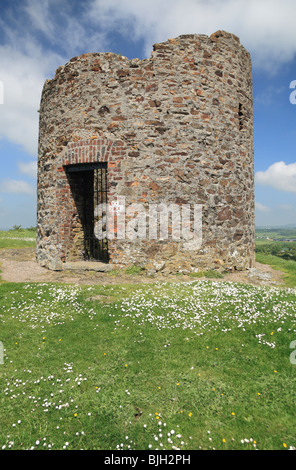 Memorial to the 1798 Rebellion on top of Vinegar Hill, Enniscorthy, Ireland. Stock Photo