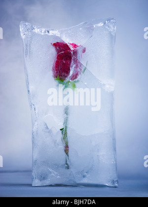 red rose frozen in a block of ice Stock Photo