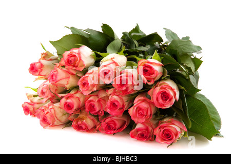 Bouquet pink roses isolated on white background Stock Photo