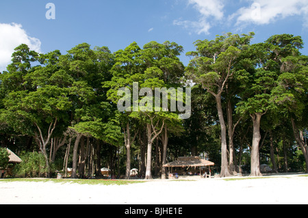 Beach hut at Radhanagar beach no. 7, Havelock Island, Andaman Islands, India Stock Photo