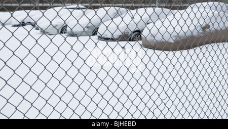 Parking lot behind chain link fence Stock Photo