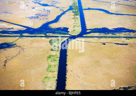 Aerial view of marsh Stock Photo