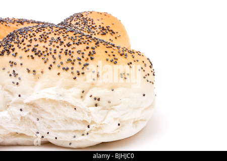 Seeded bread roll from low viewpoint isolated against white background. Stock Photo