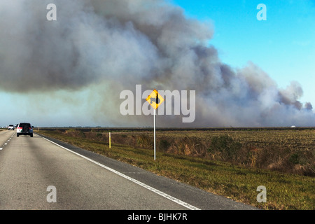 Smoke over road Stock Photo