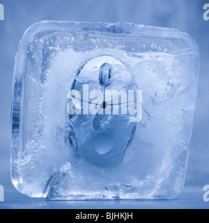 computer mouse frozen in a block of ice Stock Photo