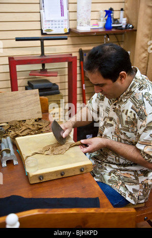 St. Augustine, FL - Jan 2009 - Hand made cigar demonstrations at cigar shop in St. Augustine, Florida Stock Photo