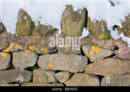 Drystone wall covered in snow in the Peak District national park Stock Photo