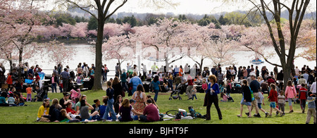 Washington DC Cherry blossoms. Multicultural crowds on Sunday Cherry Blossom Festival around the Tidal Basin. Stock Photo