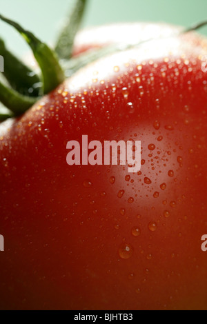 Red wet tomato macro over green background at studio Stock Photo