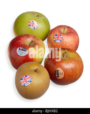 British Apples Russet Braeburn Cox Royal Gala Bramley Stock Photo