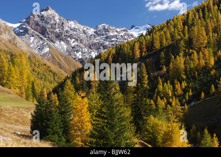 Autumn landscape in Engadina, Switzerland, Europe Stock Photo