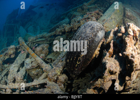 Wreck of the Thistelgorm in the Red Sea, off Egypt. Stock Photo