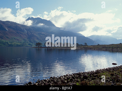 Line of Scots pines on shore of Loch Maree beneath Slioch mountain, Torridon Stock Photo