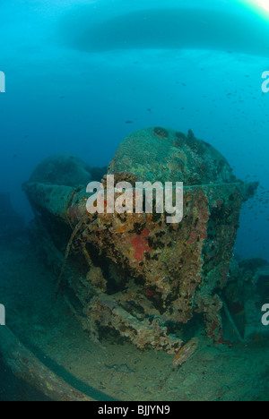 Wreck of the Thistelgorm in the Red Sea, off Egypt. Stock Photo