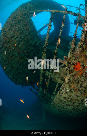 Wreck of the Thistlegorm in the Red Sea, off Egypt. Stock Photo