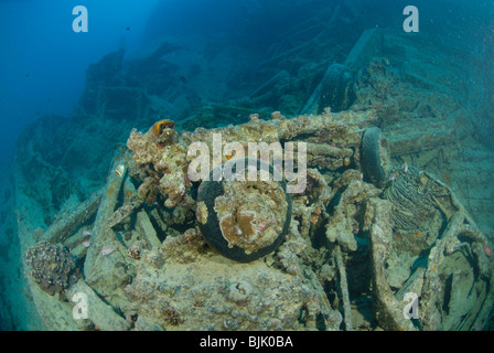 Wreck of the Thistelgorm in the Red Sea, off Egypt. Stock Photo