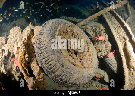 Wreck of the Thistelgorm in the Red Sea, off Egypt. Stock Photo