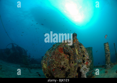 Wreck of the Thistelgorm in the Red Sea, off Egypt. Stock Photo