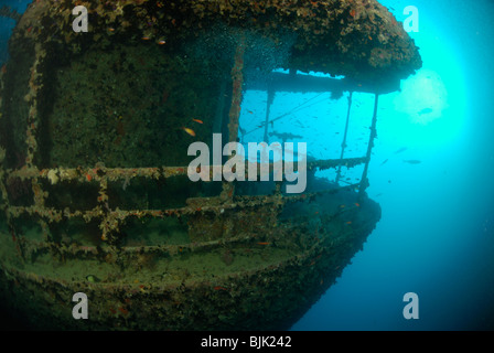 Wreck of the Thistelgorm in the Red Sea, off Egypt. Stock Photo