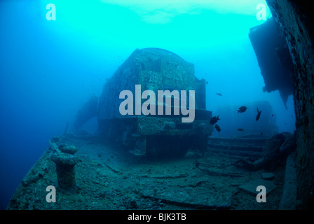 Wreck of the Thistelgorm in the Red Sea, off Egypt. Stock Photo