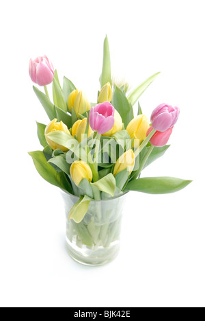 Tulips Stock Photo