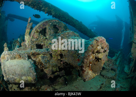 Wreck of the Thistelgorm in the Red Sea, off Egypt. Stock Photo