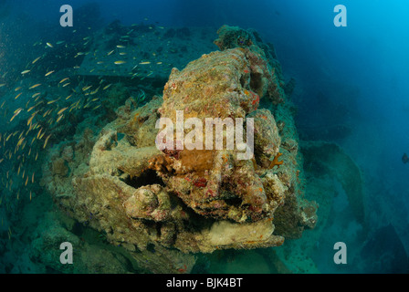 Wreck of the Thistlegorm in the Red Sea, off Egypt. Stock Photo