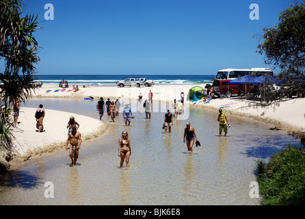 Tourists walk up Eli Creek from 75 Mile Beach on Fraser Island, Australia Stock Photo