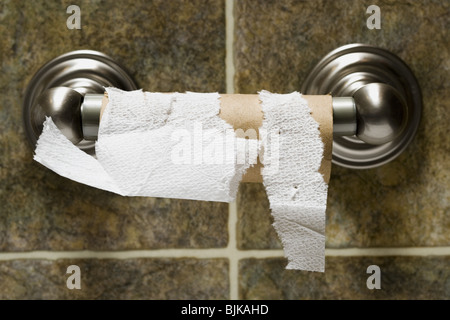 Empty toilet paper roll Stock Photo