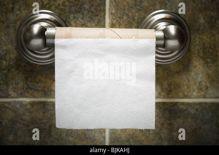 Empty toilet paper roll Stock Photo