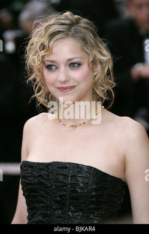 CANNES, FRANCE - MAY 21: Marion Cotillard attend the "Little Girl Blue