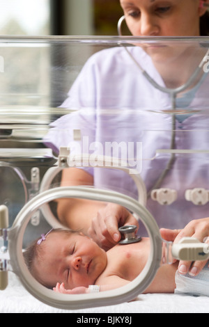 Nurse examining newborn in incubator Stock Photo