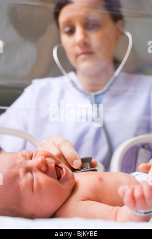 Nurse examining newborn in incubator Stock Photo