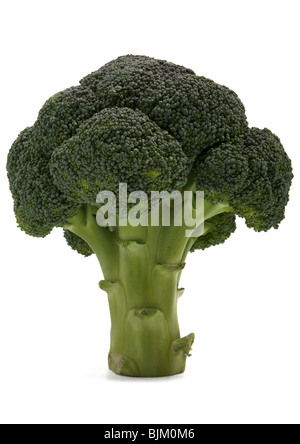 Broccoli on white background Stock Photo
