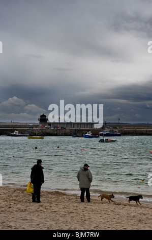 People walking their dogs on the harbour beach in St Ives in Cornwall.  Photo by Gordon Scammell Stock Photo