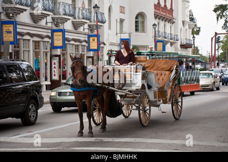 St. Augustine, FL - Jan 2009 - Woman driving horse drawn guided tour carriage in St. Augustine, Florida Stock Photo