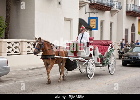 St. Augustine, FL - Jan 2009 - Man driving horse drawn carriage for tours in St. Augustine, Florida Stock Photo