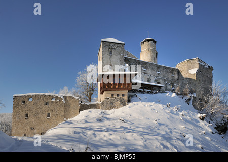 Araburg castle ruins, highest castle in Lower Austria at 799m, near Kaumberg, Lower Austria, Austria, Europe Stock Photo
