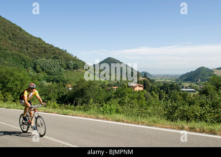 Italien, Euganeische Hügel bei Padua, Radler auf Landstraße | Italy, Colli Euganei, cyclist on road Stock Photo