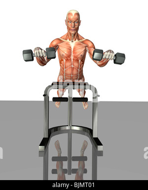muscle man at training Stock Photo
