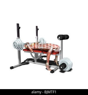 muscle woman at weightlifting Stock Photo